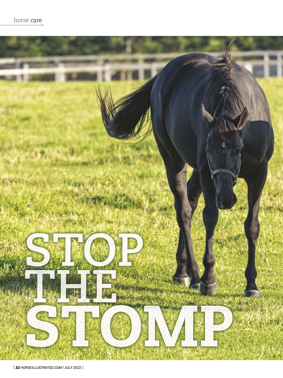 Horse Illustrated Magazine Preview Pages