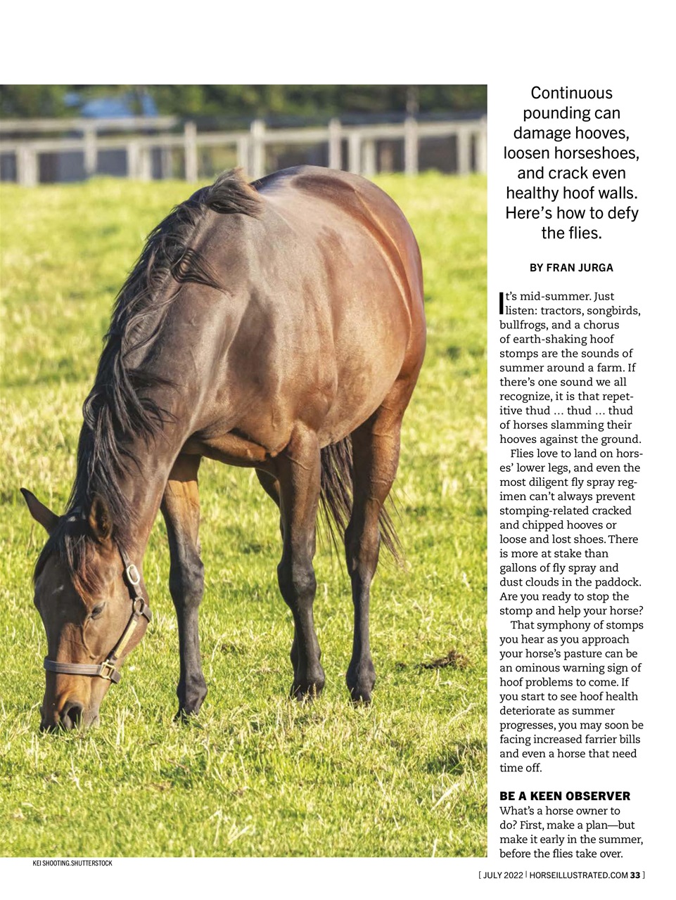 Horse Illustrated Magazine Preview Pages