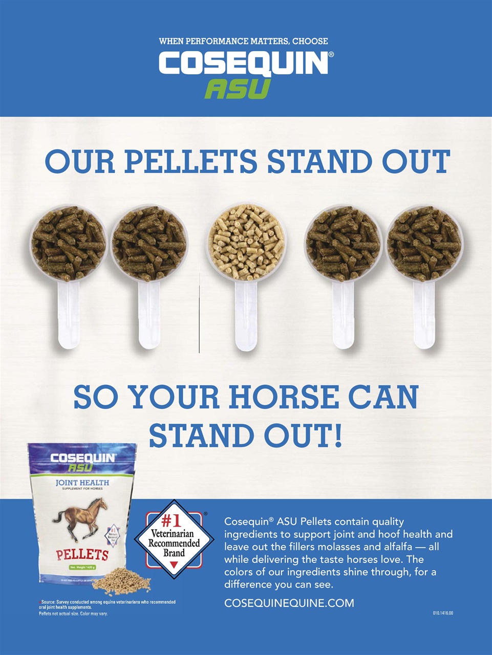 Horse Illustrated Magazine Preview Pages