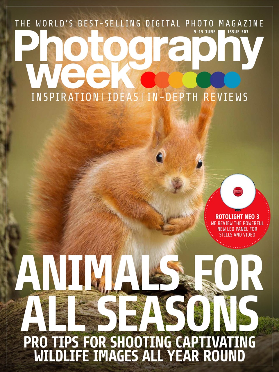 Photography Week Preview Pages