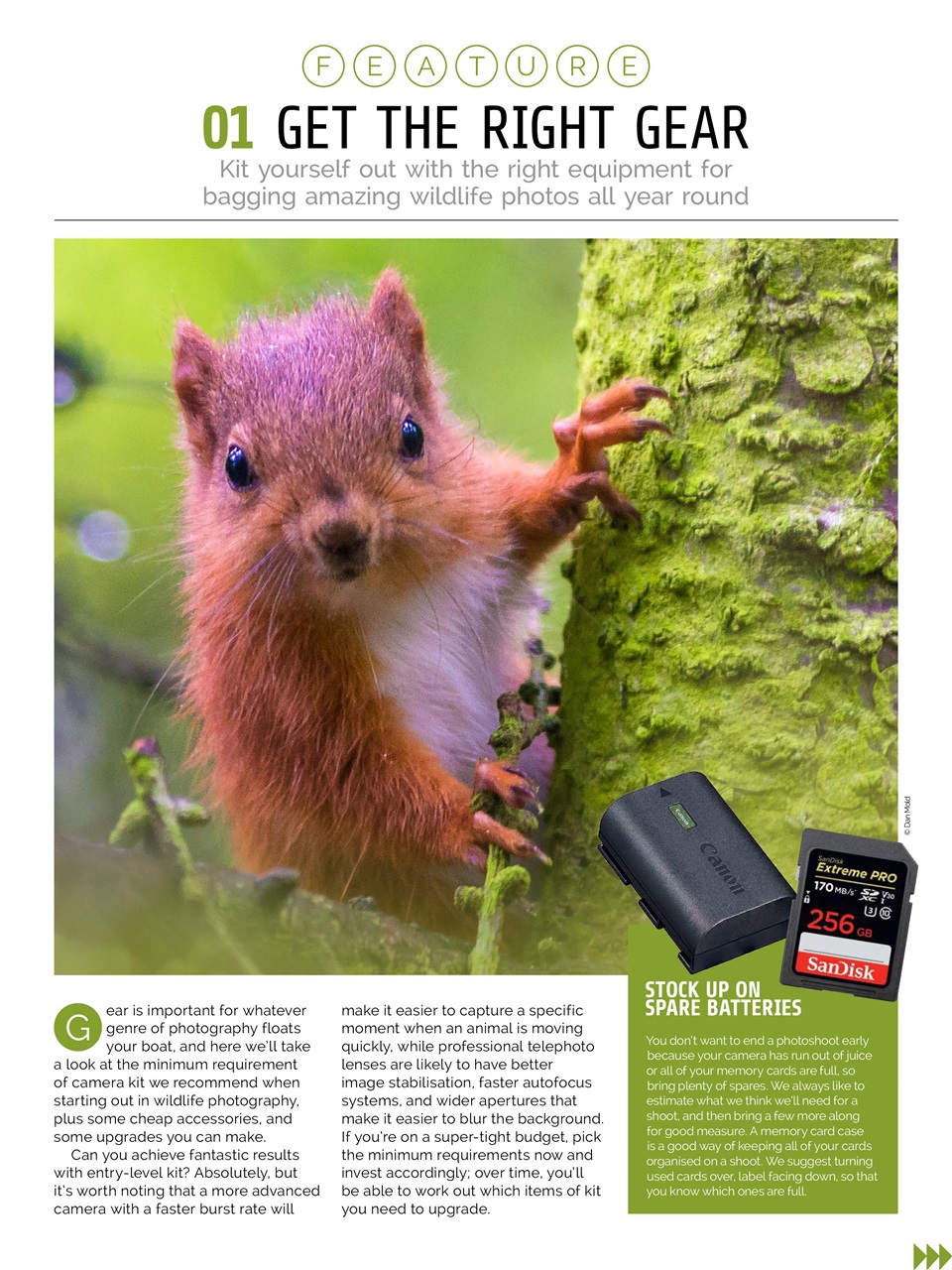 Photography Week Preview Pages