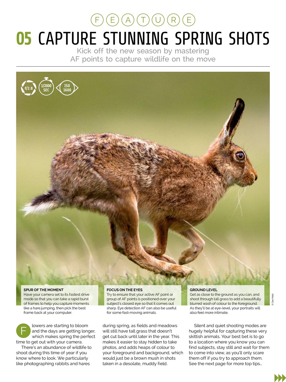 Photography Week Preview Pages