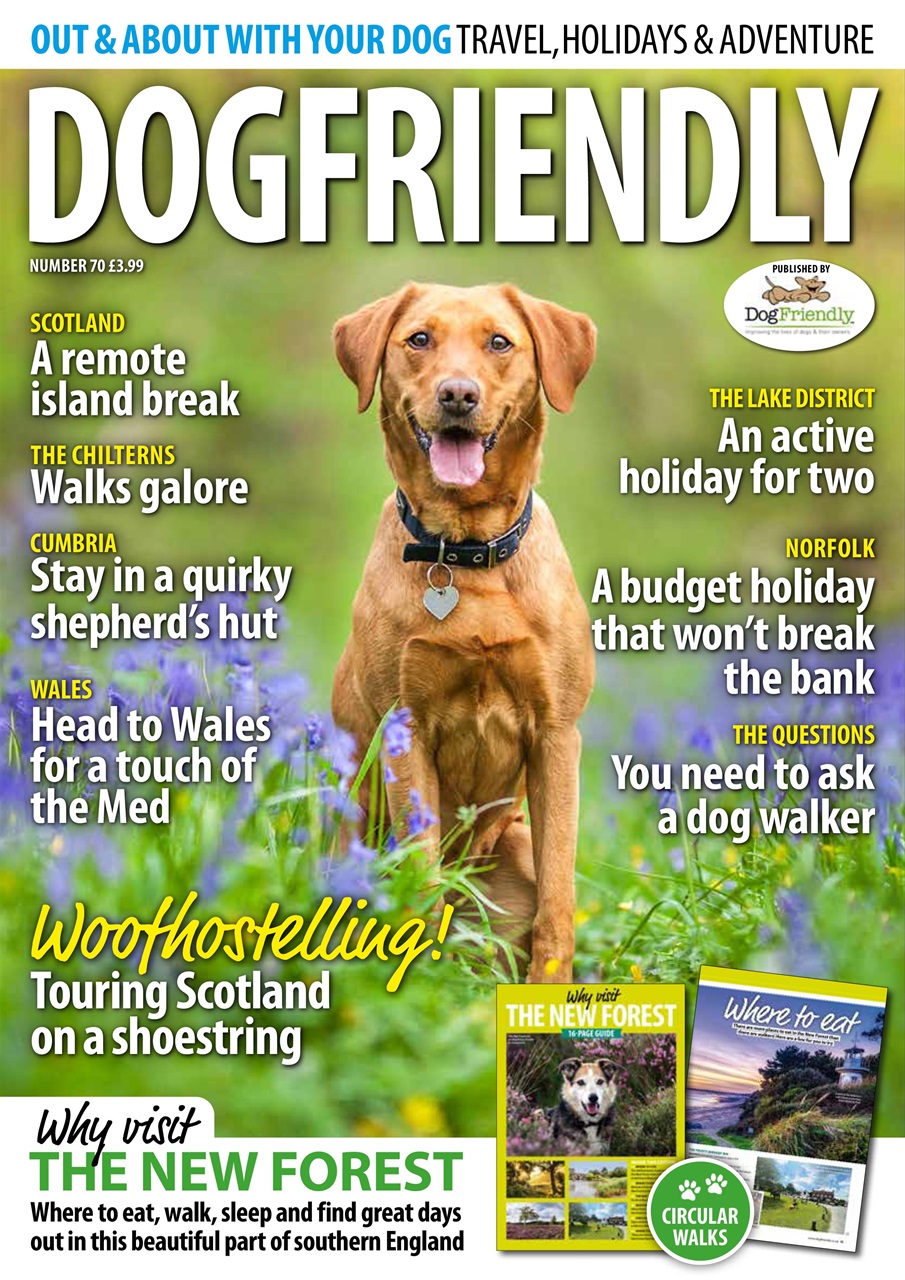 Dog Friendly Preview Pages