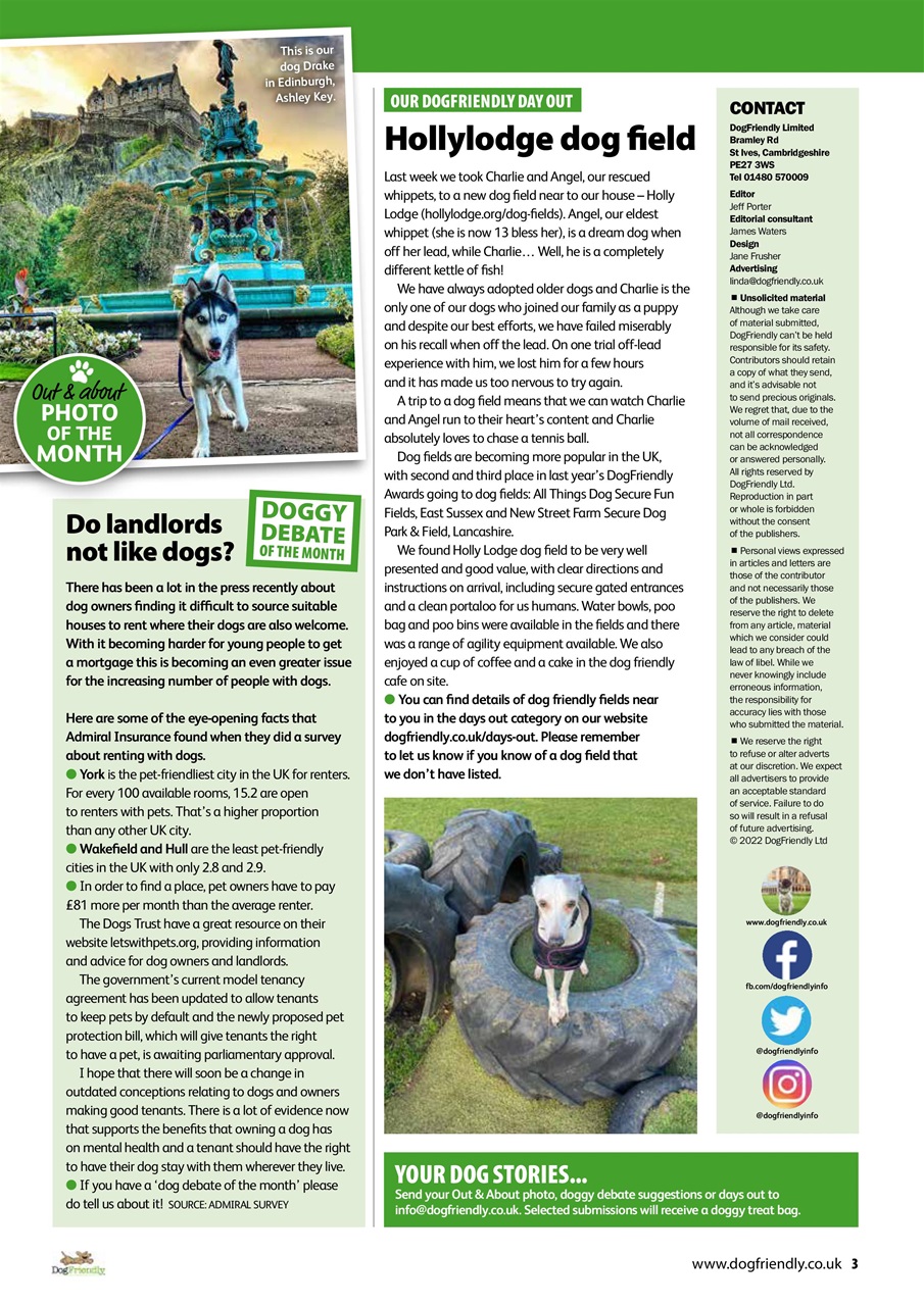 Dog Friendly Preview Pages