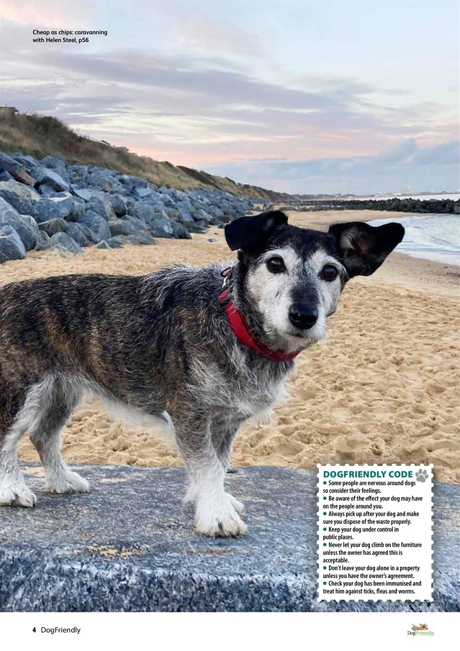 Dog Friendly Preview Pages