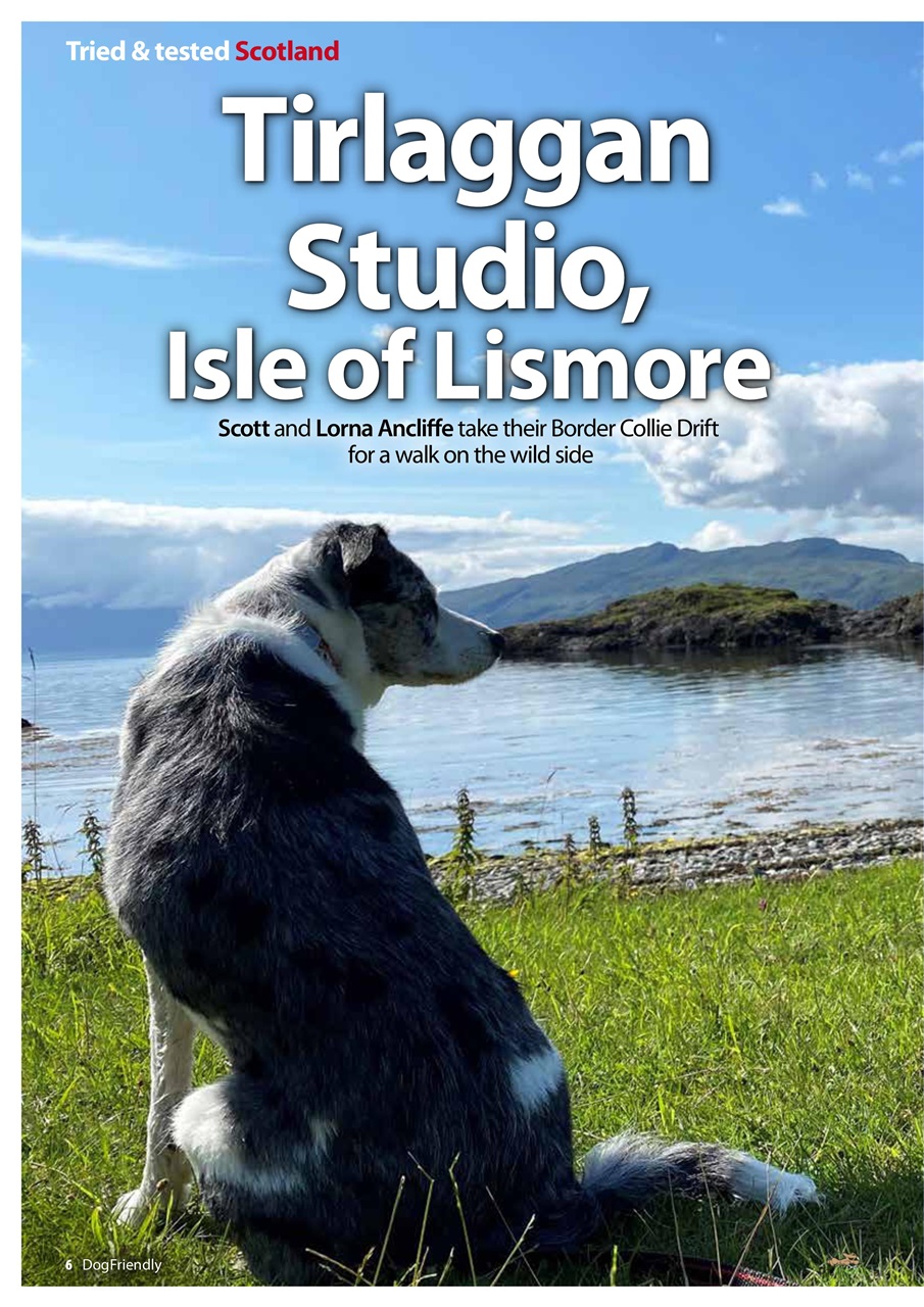 Dog Friendly Preview Pages