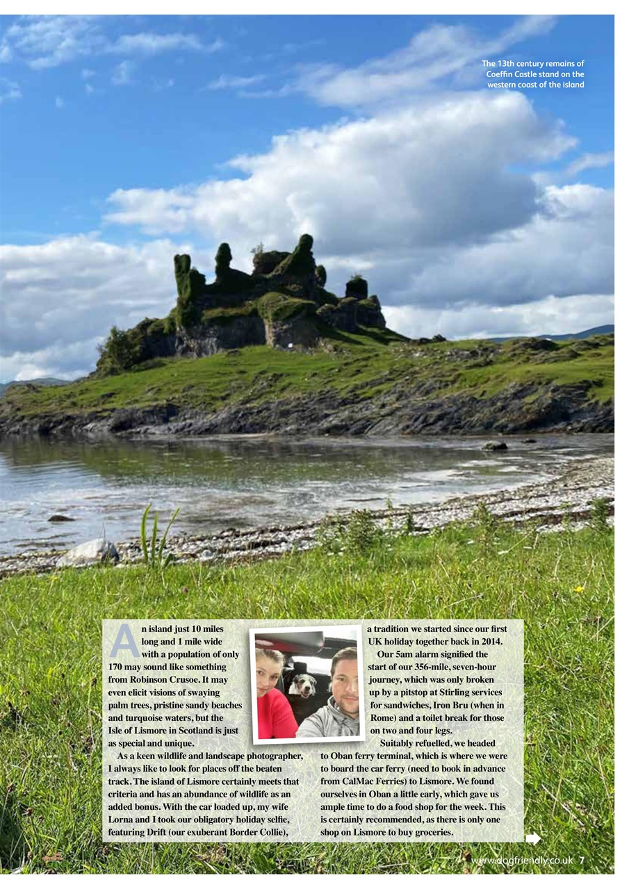 Dog Friendly Preview Pages