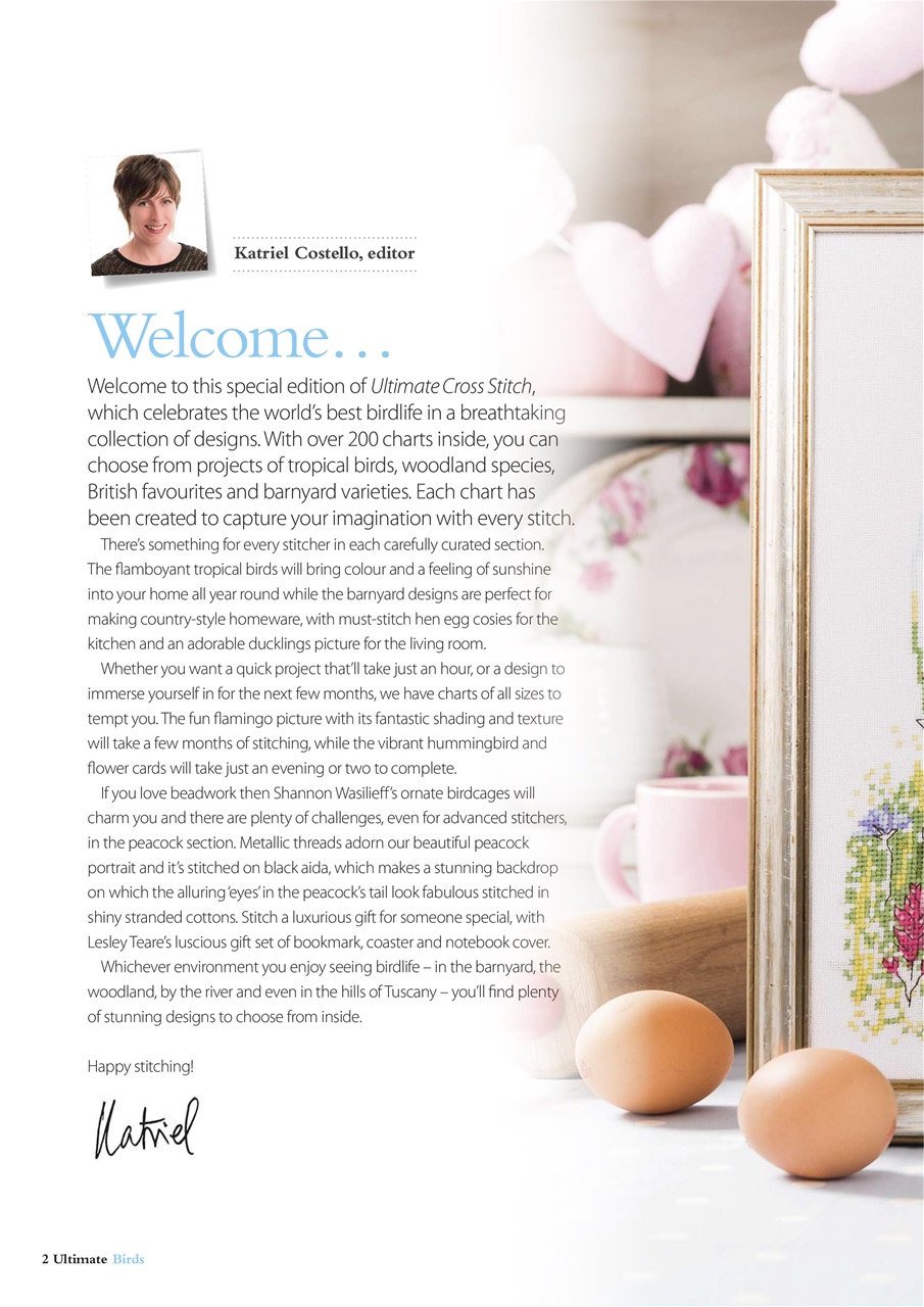 The World of Cross Stitching Preview Pages