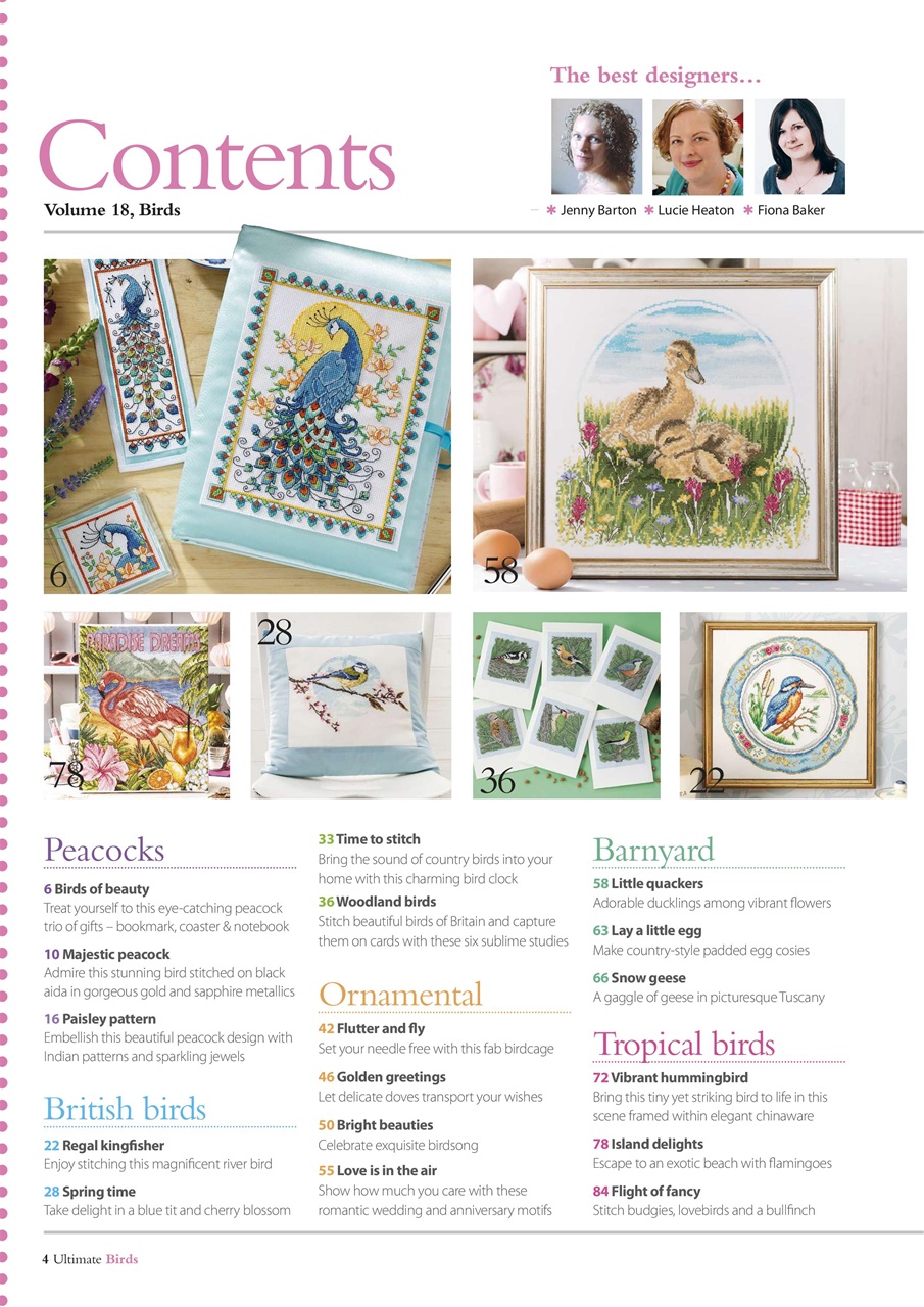 The World of Cross Stitching Preview Pages