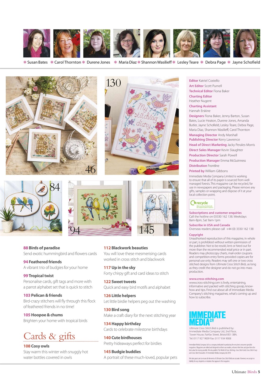 The World of Cross Stitching Preview Pages