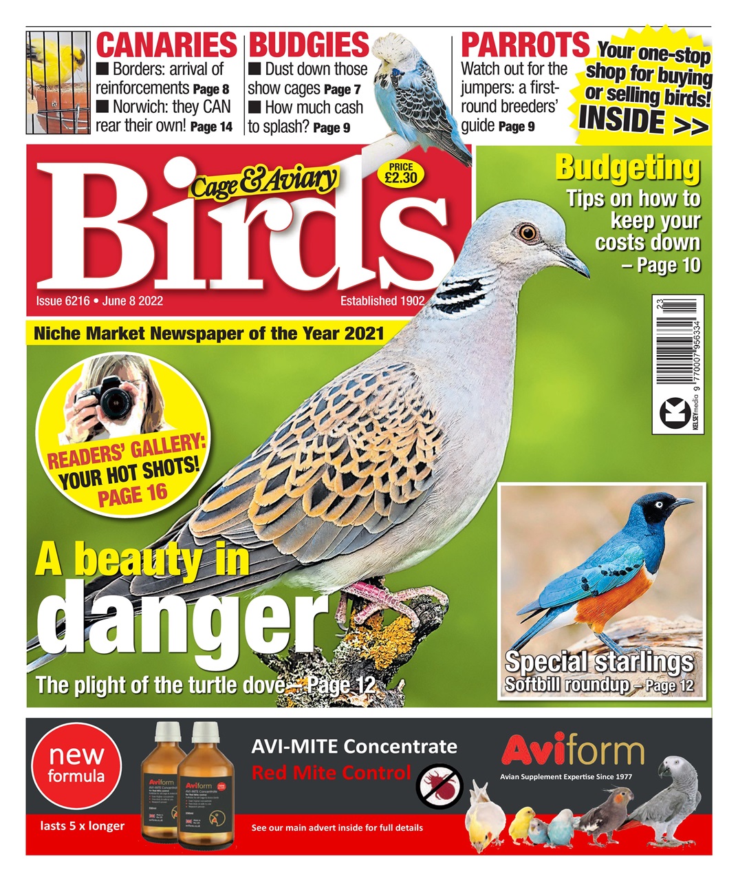 Cage & Aviary Birds Preview Pages