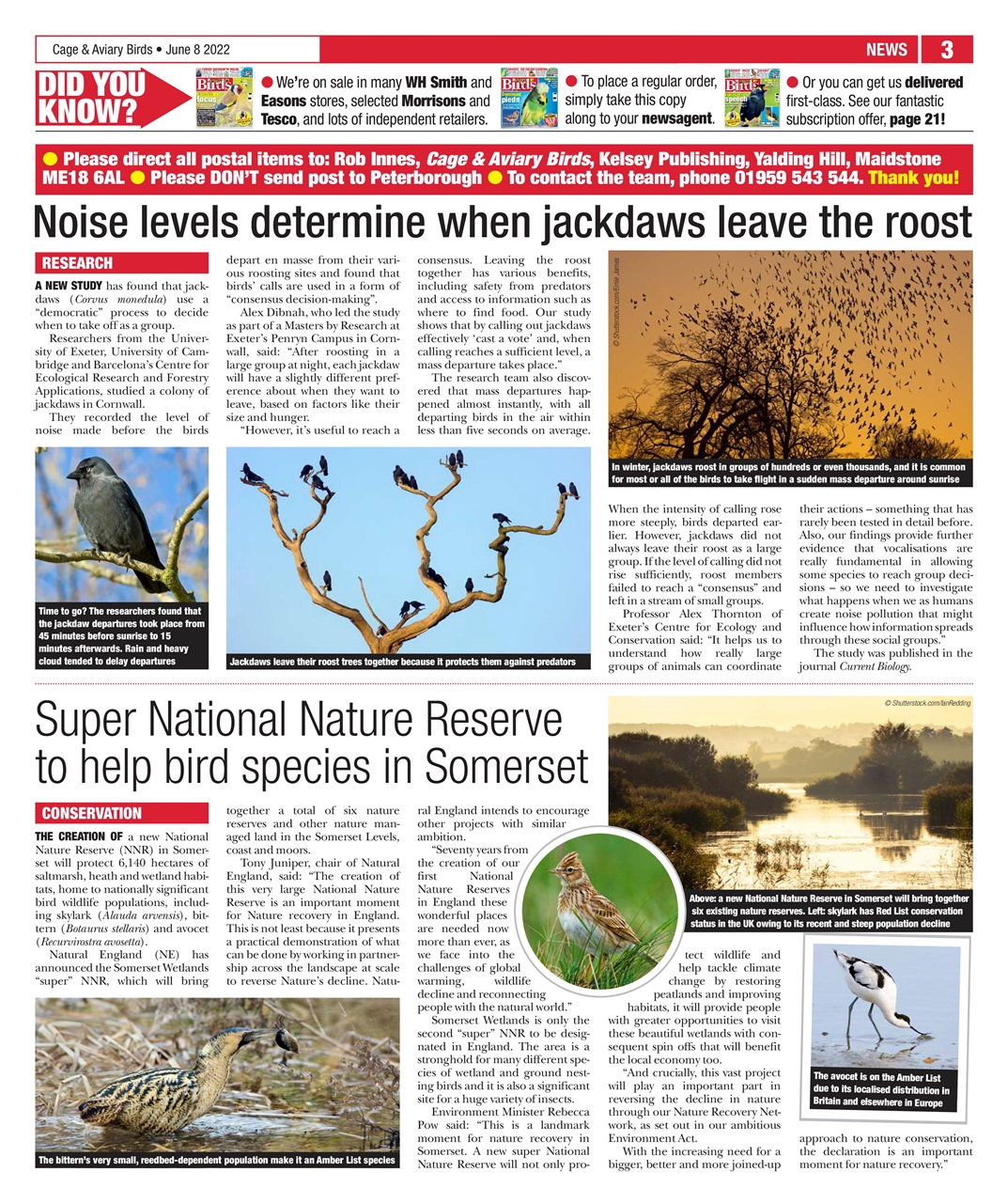 Cage & Aviary Birds Preview Pages