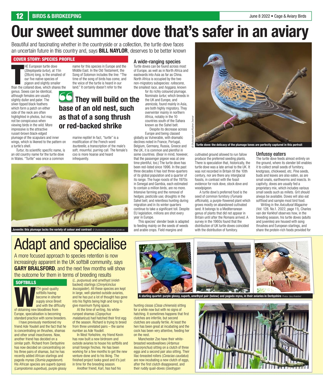 Cage & Aviary Birds Preview Pages