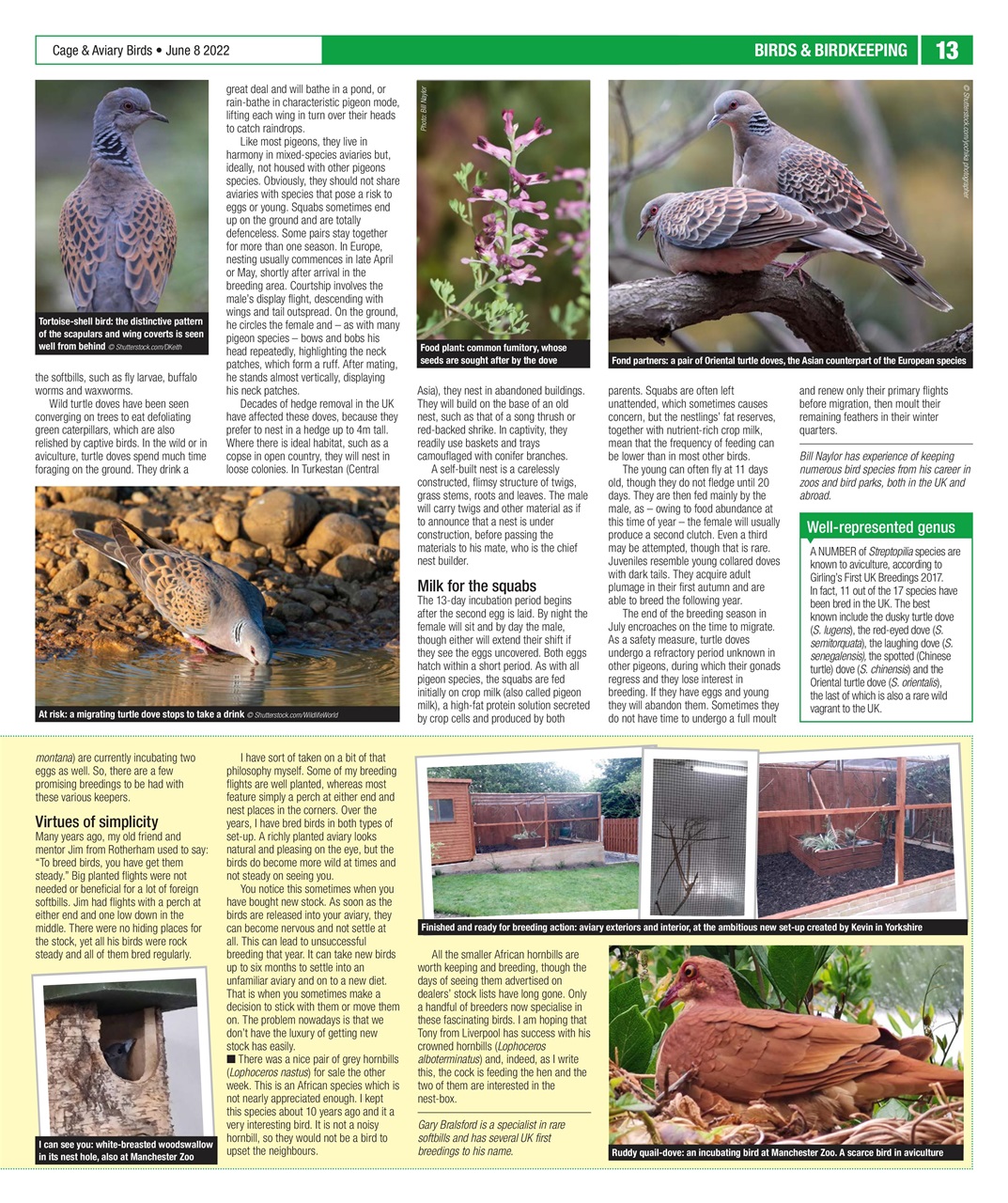 Cage & Aviary Birds Preview Pages