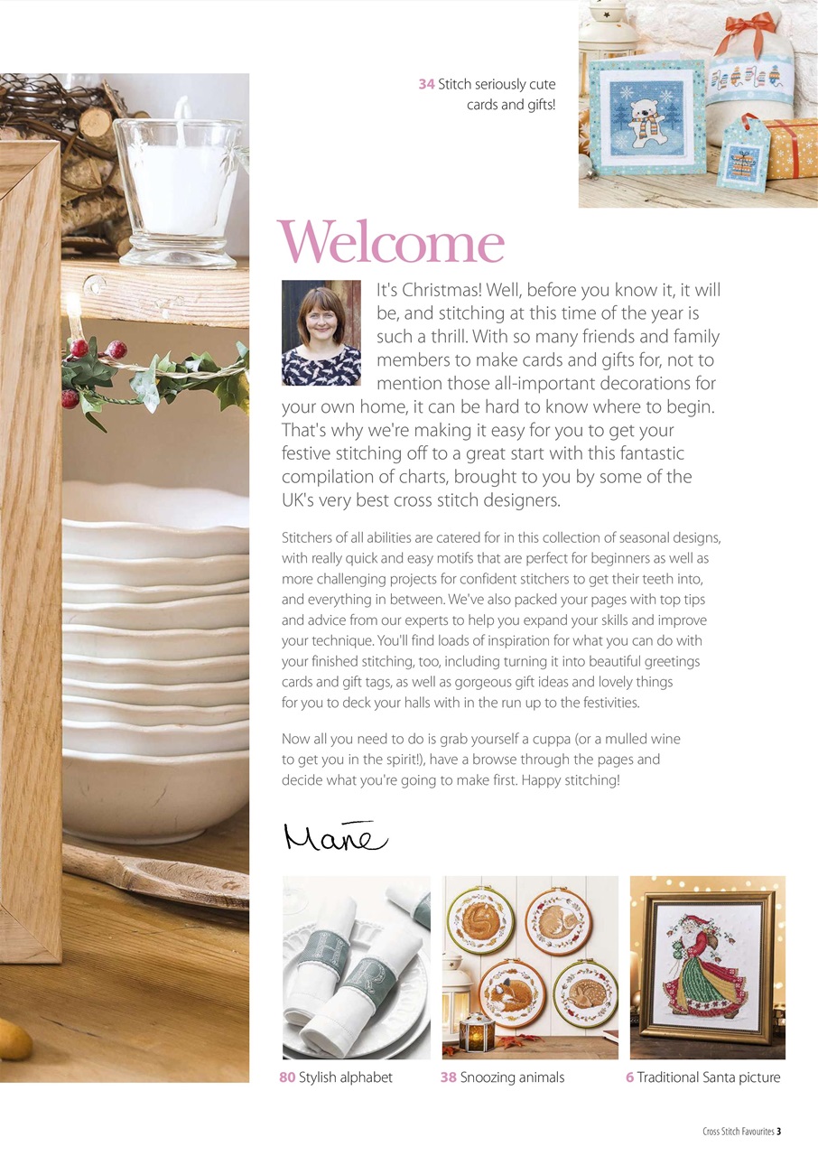 The World of Cross Stitching Preview Pages