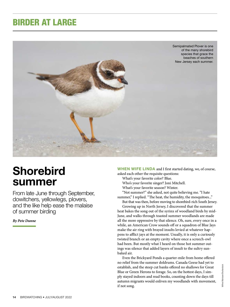 BirdWatching Preview Pages
