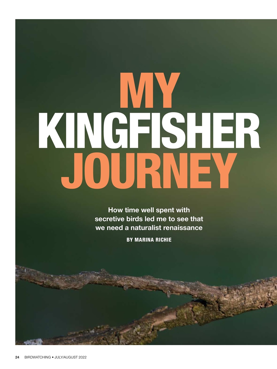 BirdWatching Preview Pages