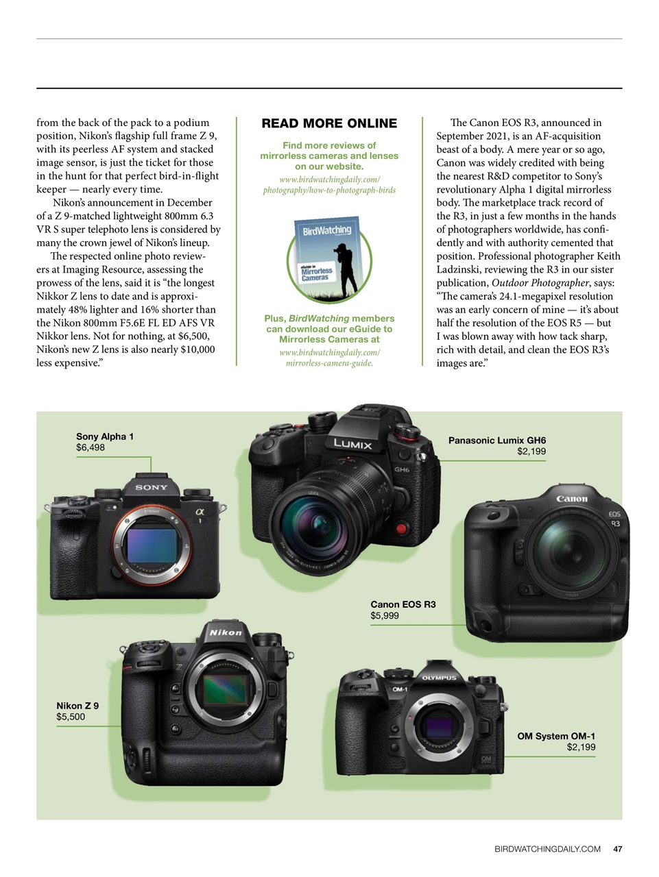 BirdWatching Preview Pages