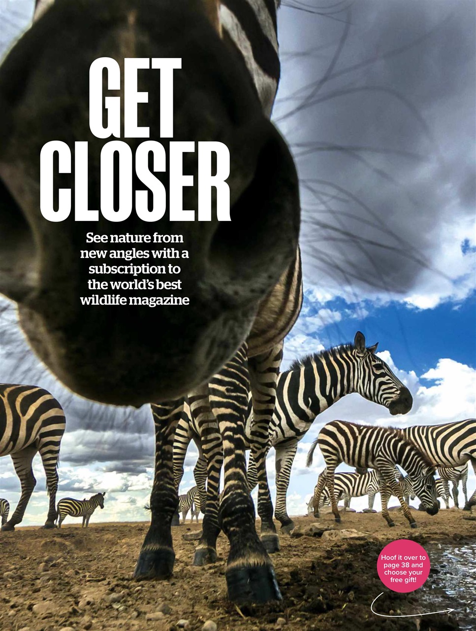 BBC Wildlife Magazine Preview Pages
