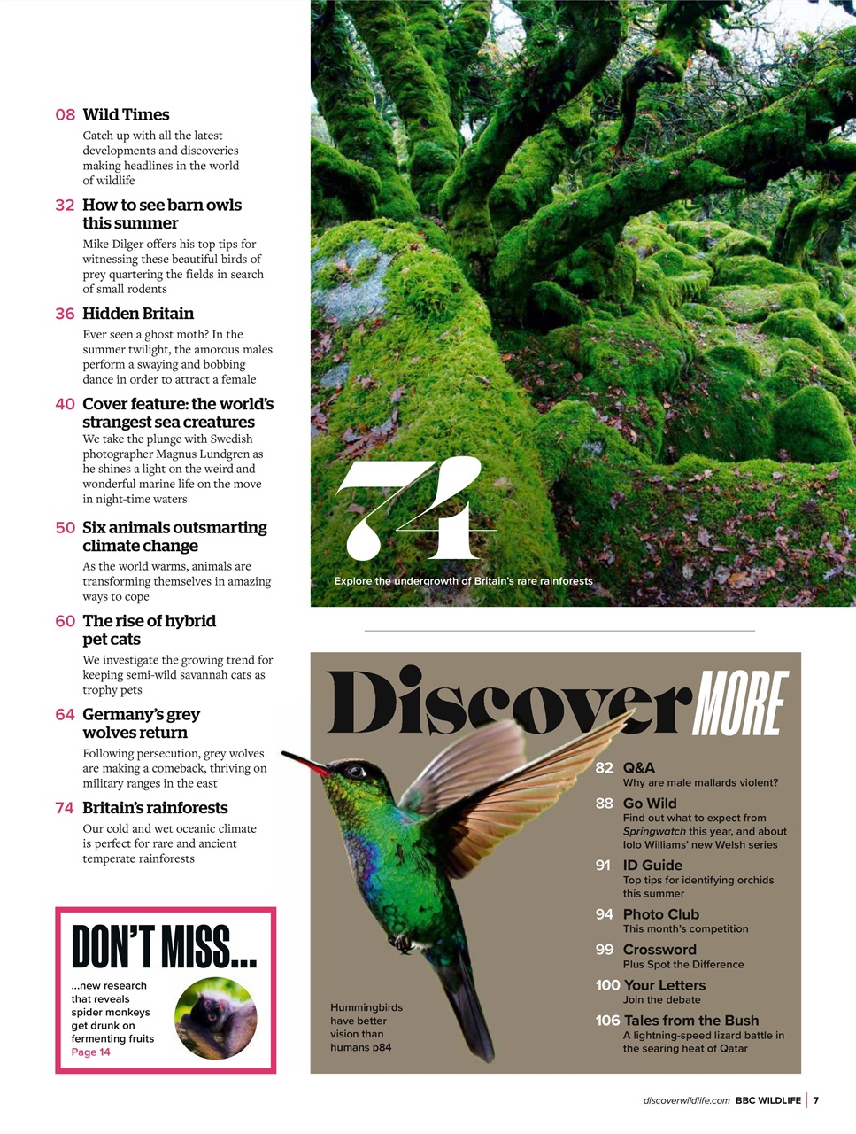 BBC Wildlife Magazine Preview Pages