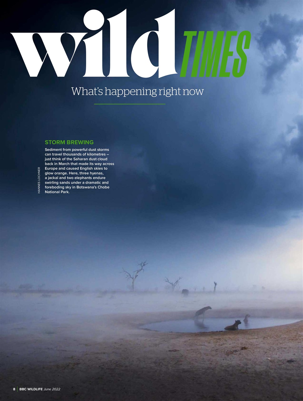 BBC Wildlife Magazine Preview Pages