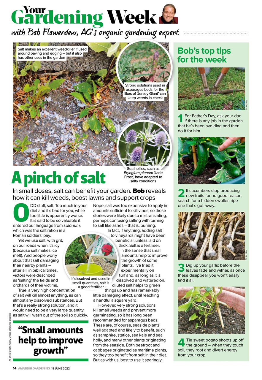 Amateur Gardening Preview Pages