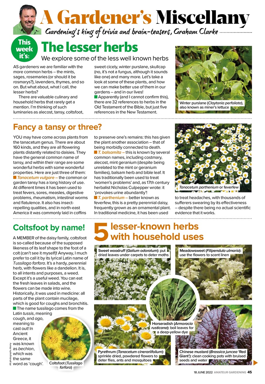 Amateur Gardening Preview Pages
