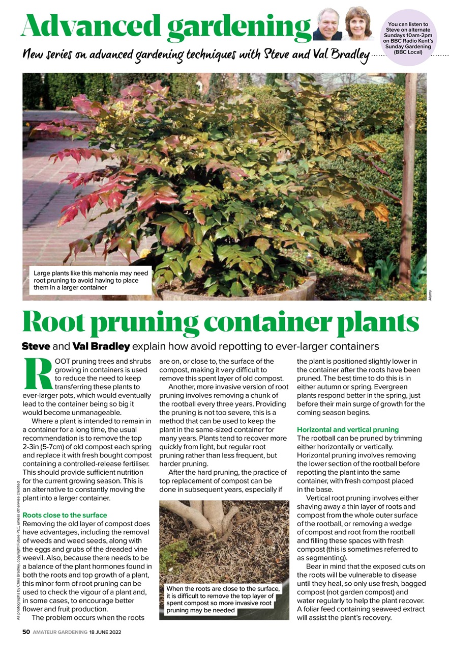 Amateur Gardening Preview Pages