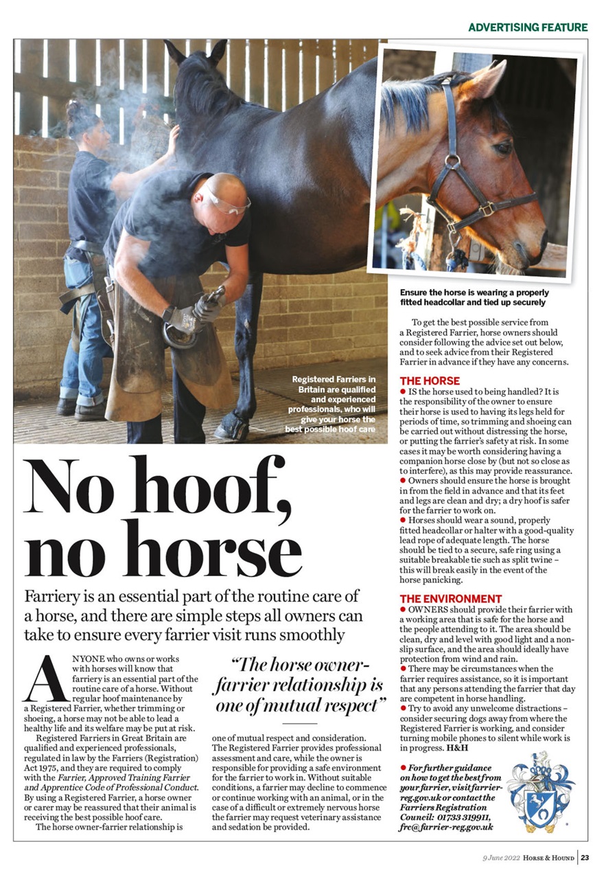 Horse & Hound Preview Pages