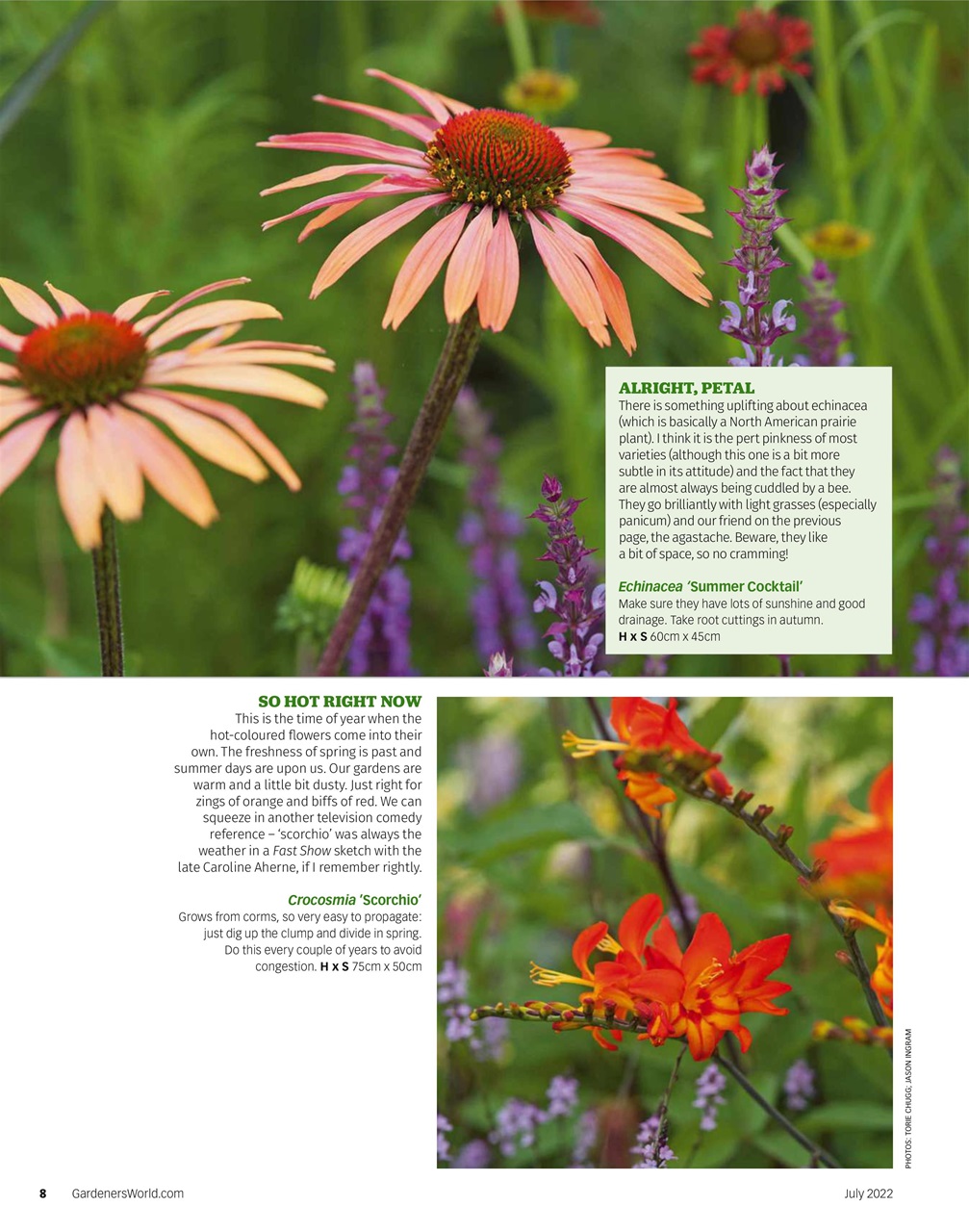 BBC Gardeners’ World Magazine Preview Pages