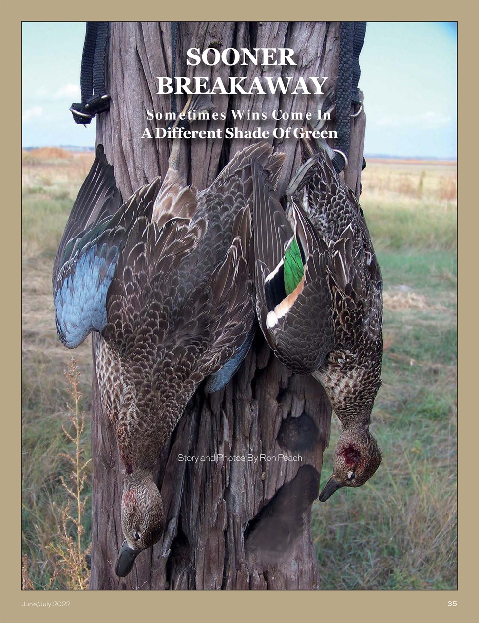 American Waterfowler Preview Pages