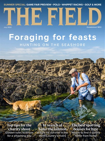 The Field issue Jul-22