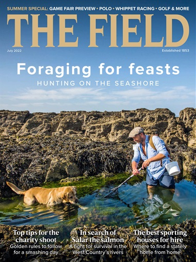 The Field issue 