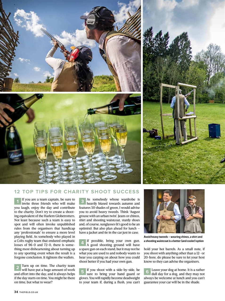 The Field Preview Pages