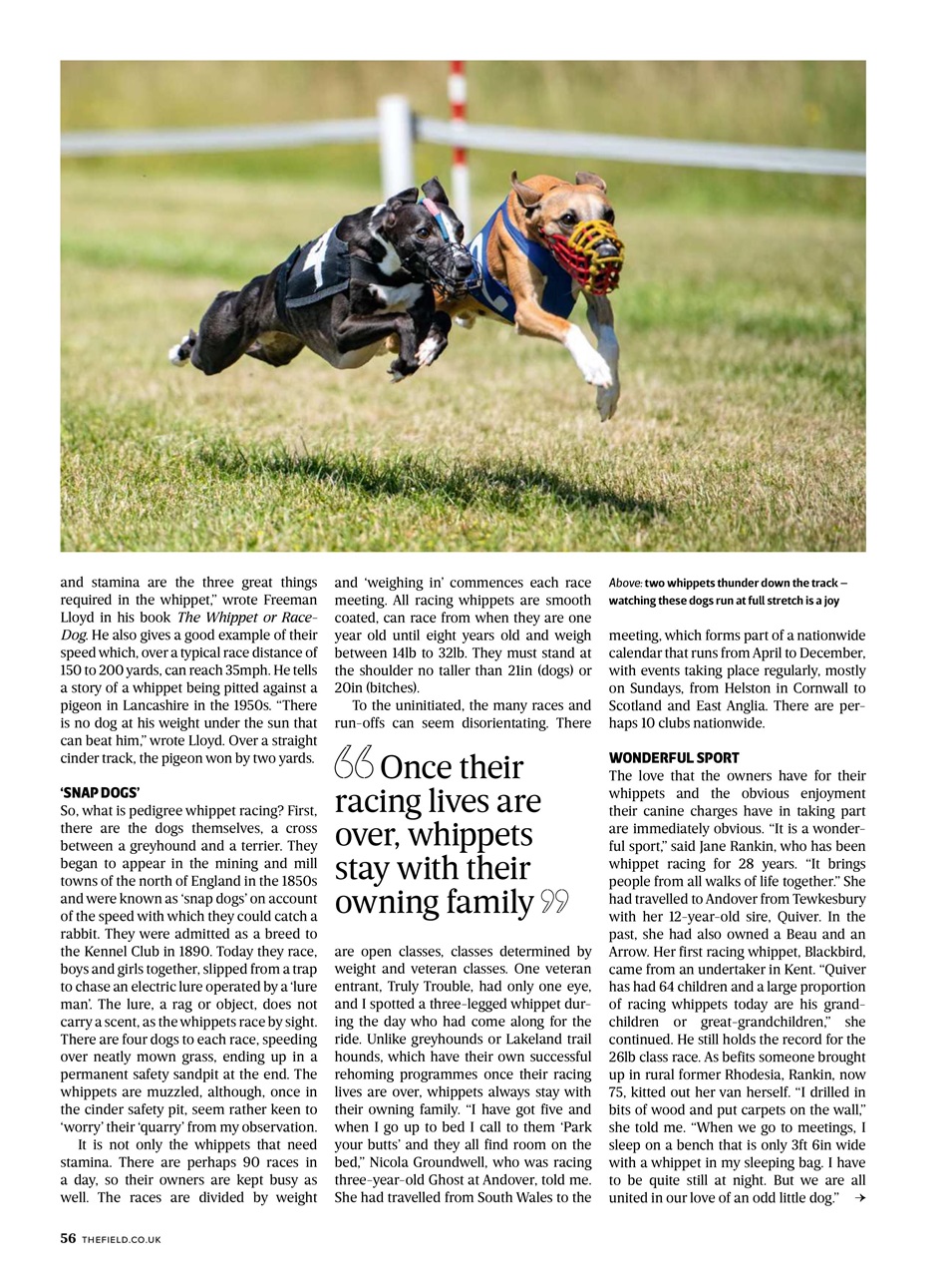 The Field Preview Pages