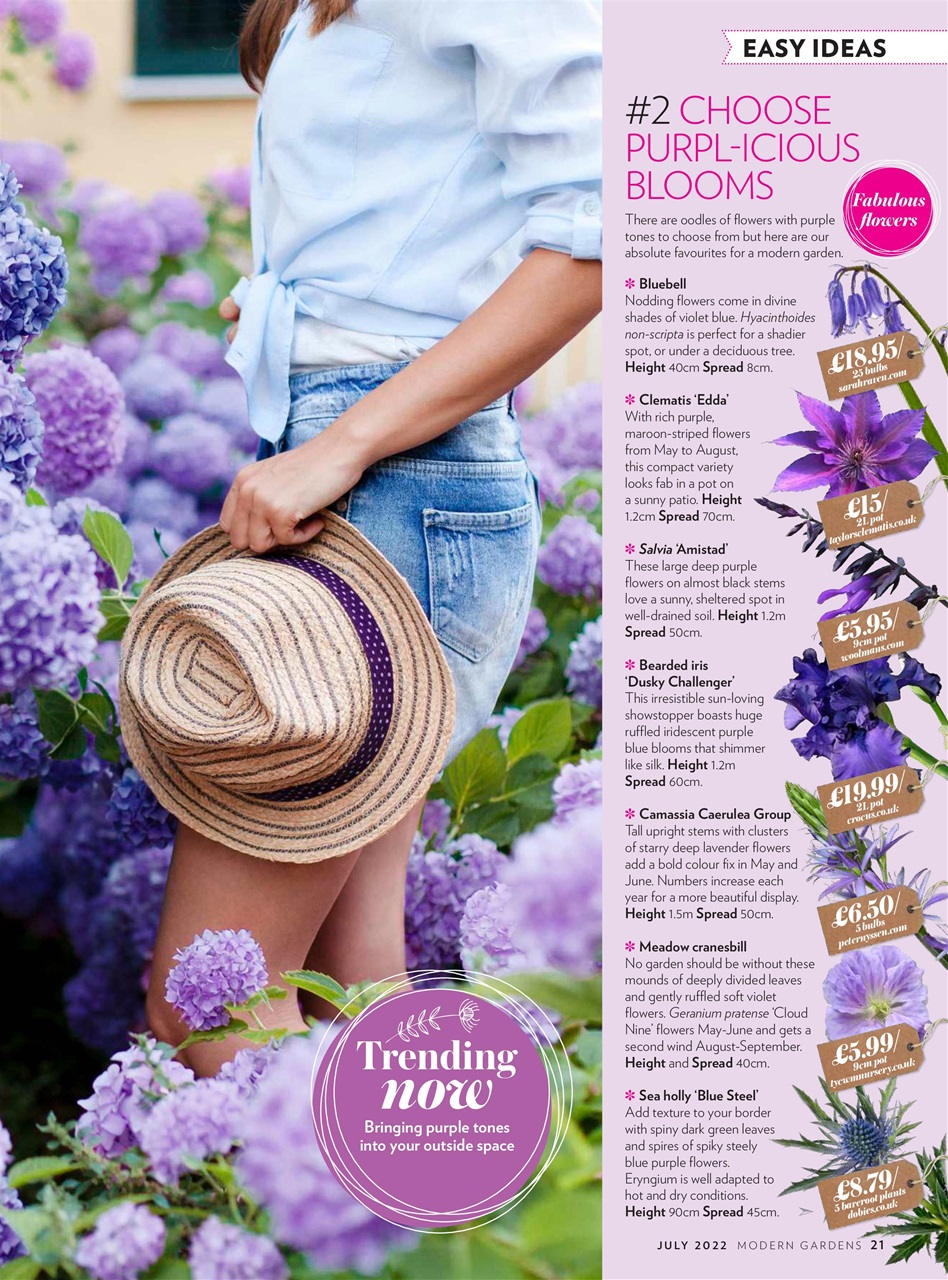 Modern Gardens Preview Pages