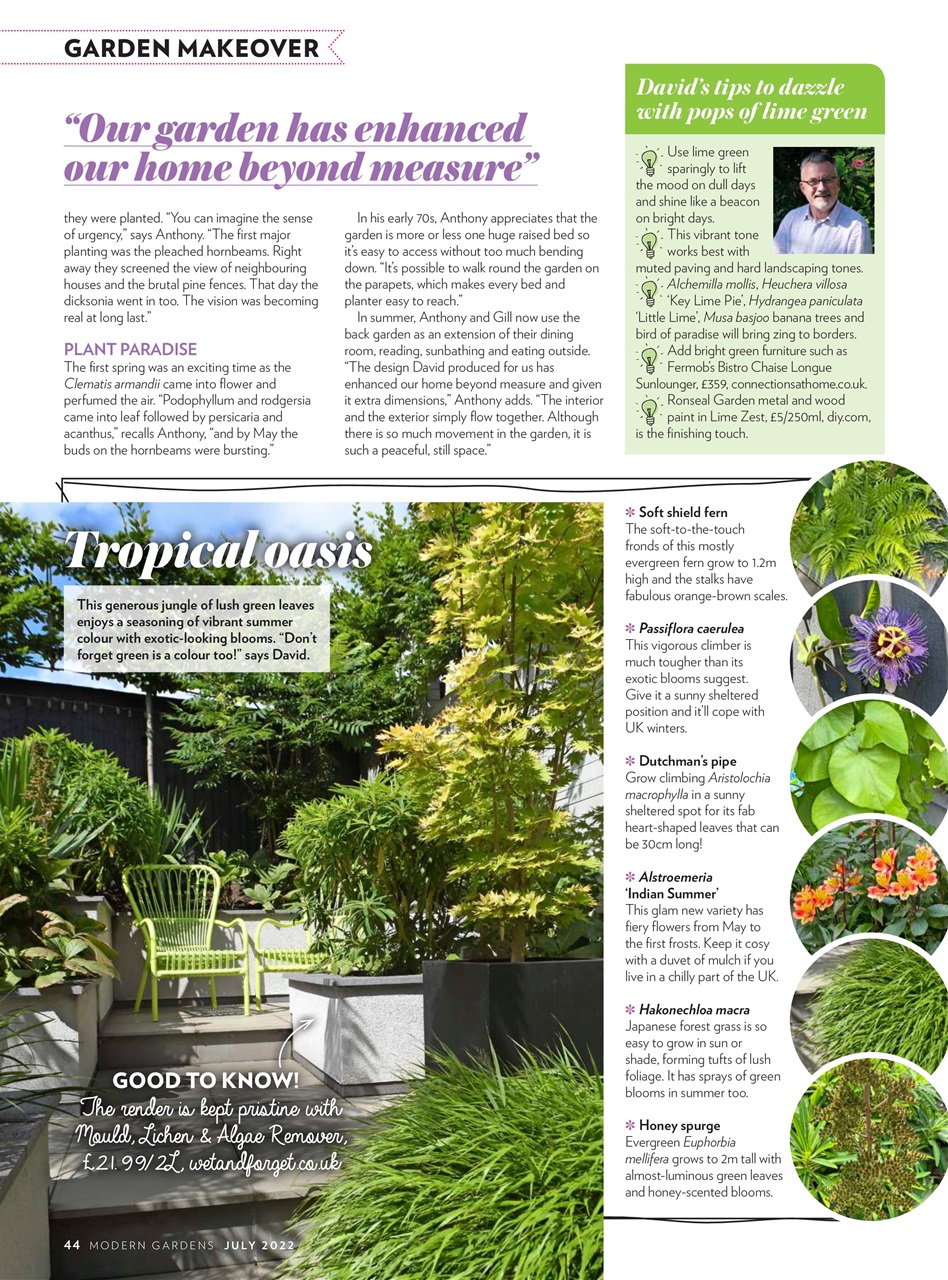Modern Gardens Preview Pages