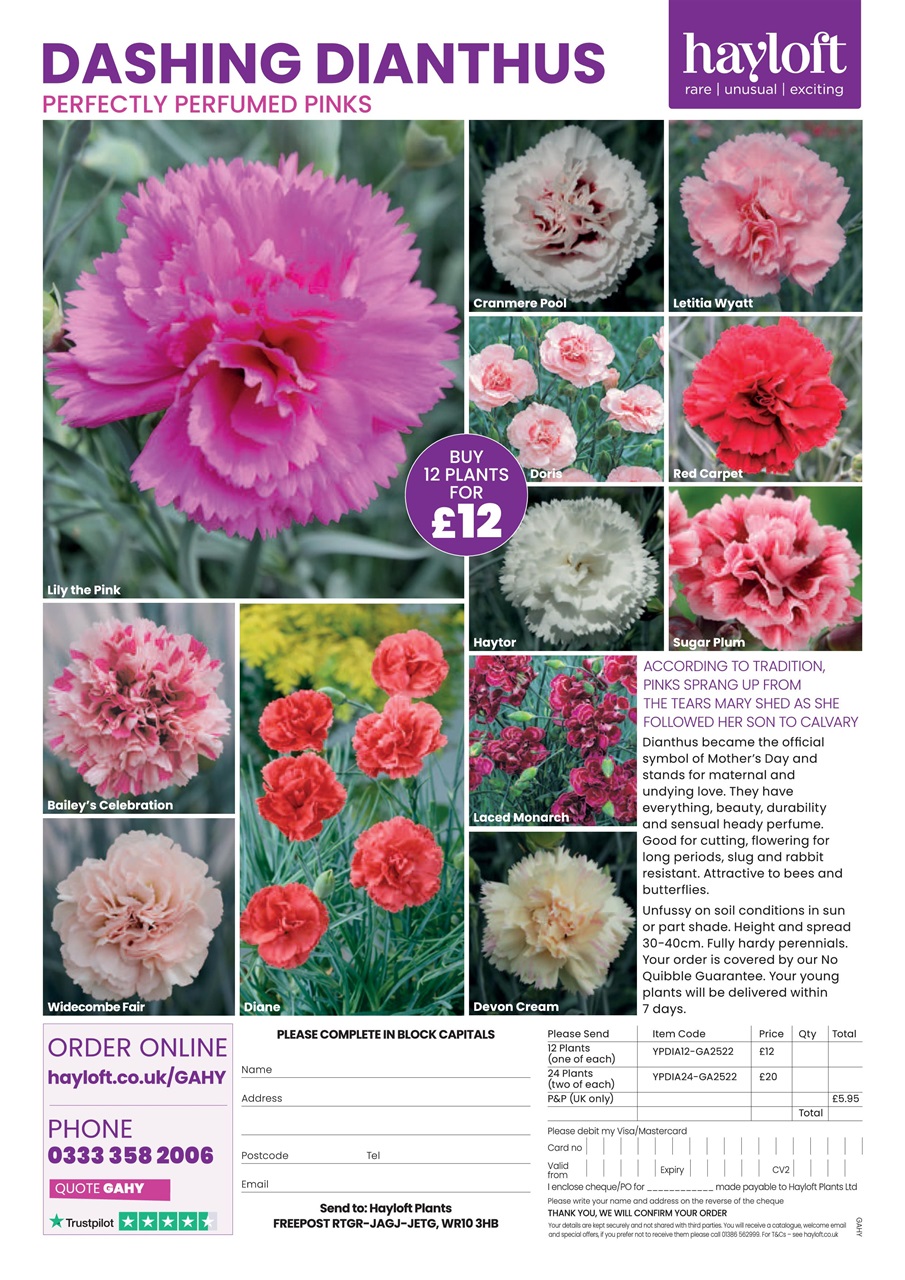 Garden Answers Preview Pages