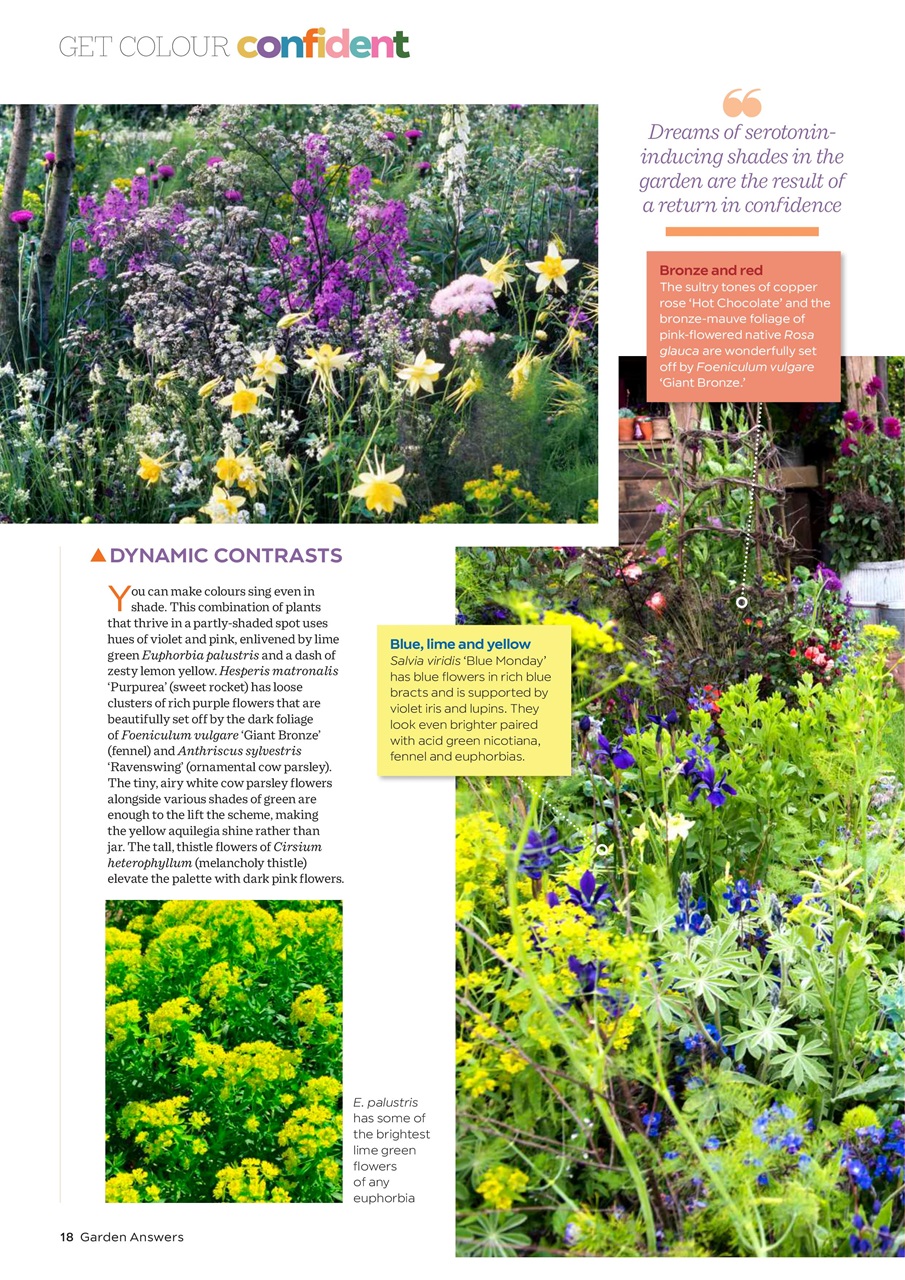 Garden Answers Preview Pages