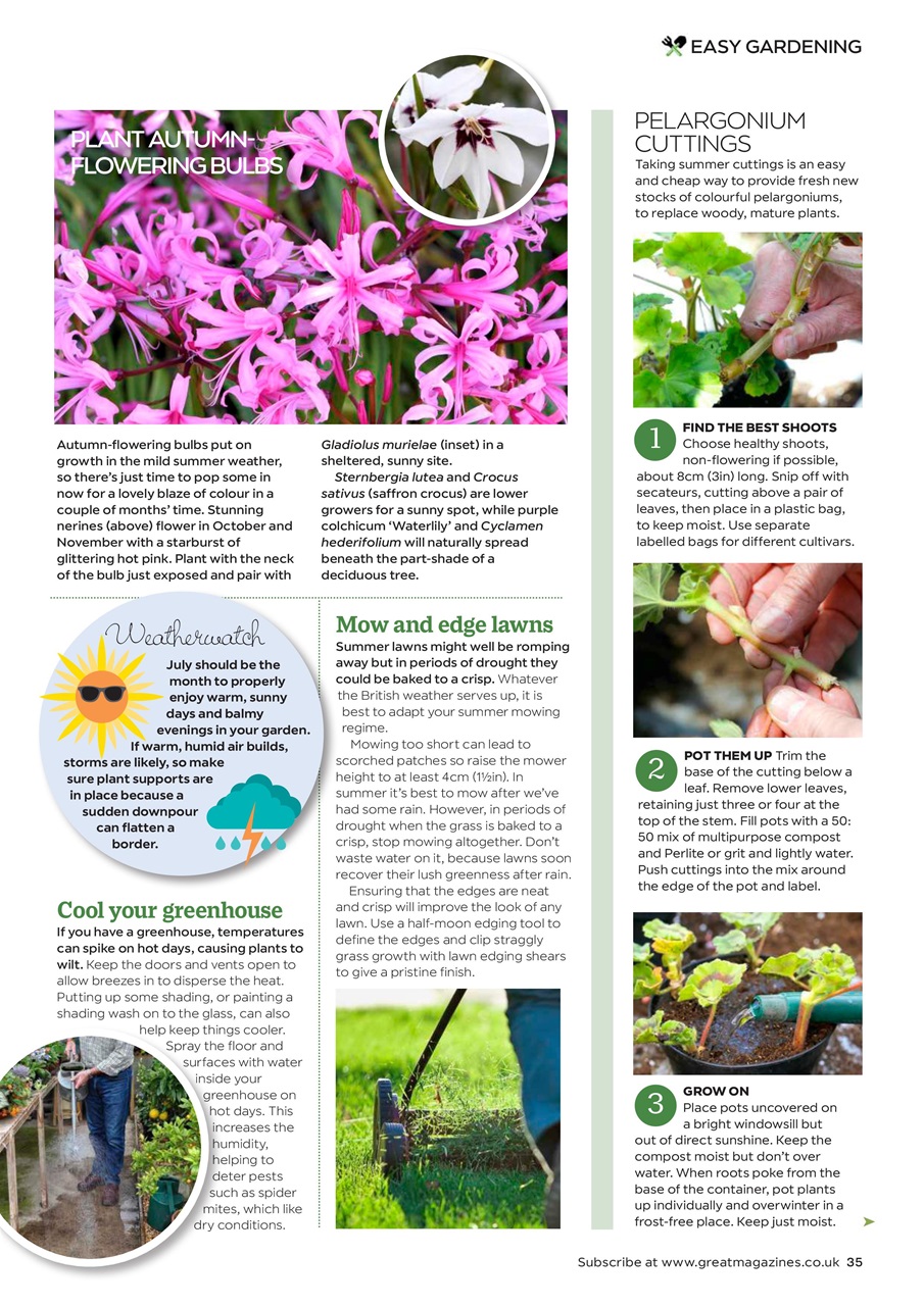 Garden Answers Preview Pages