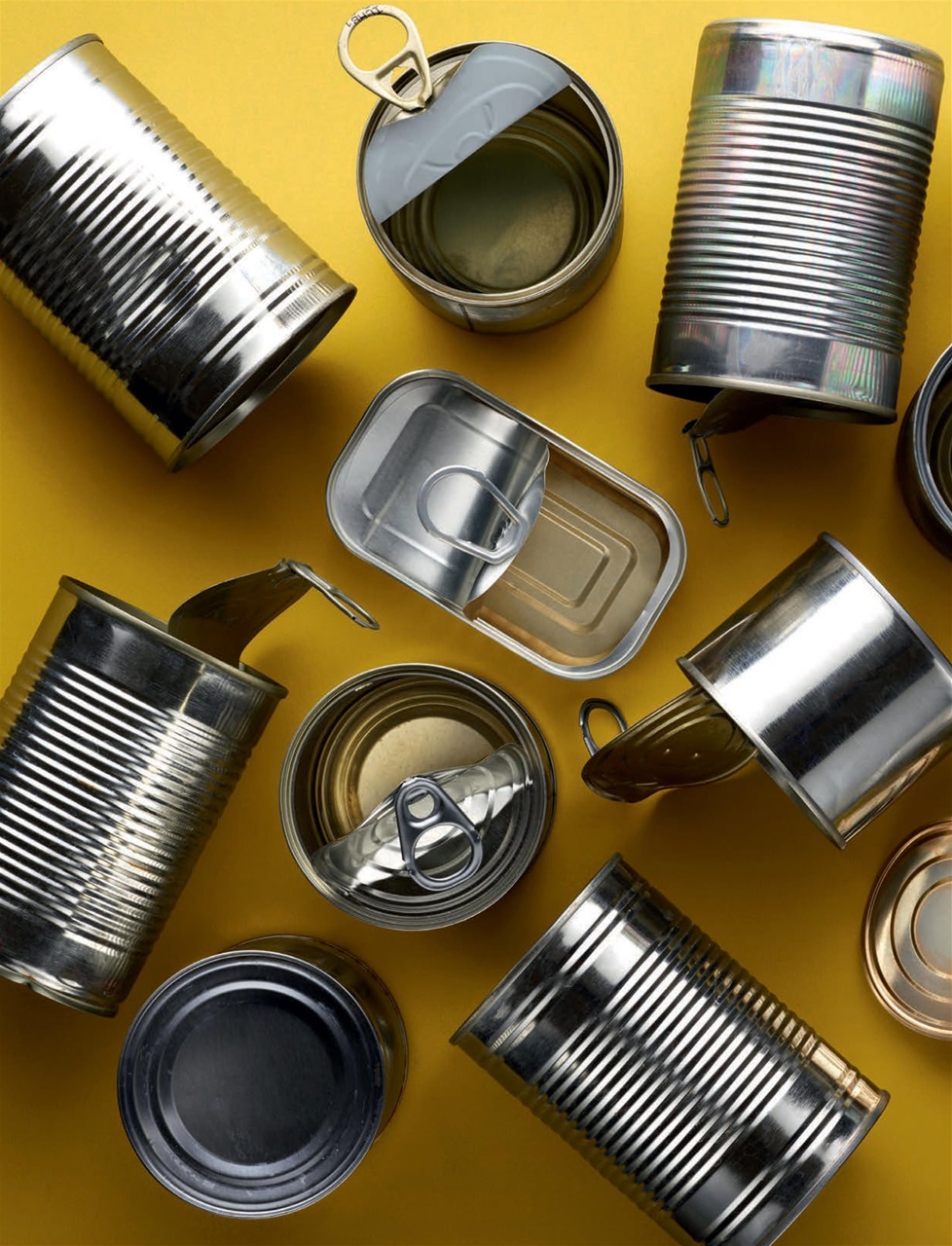 Prospect Magazine Preview Pages