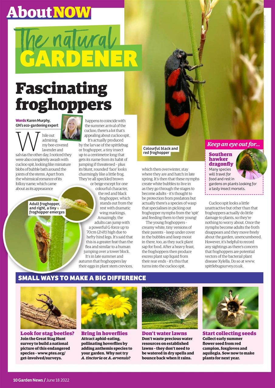 Garden News Preview Pages