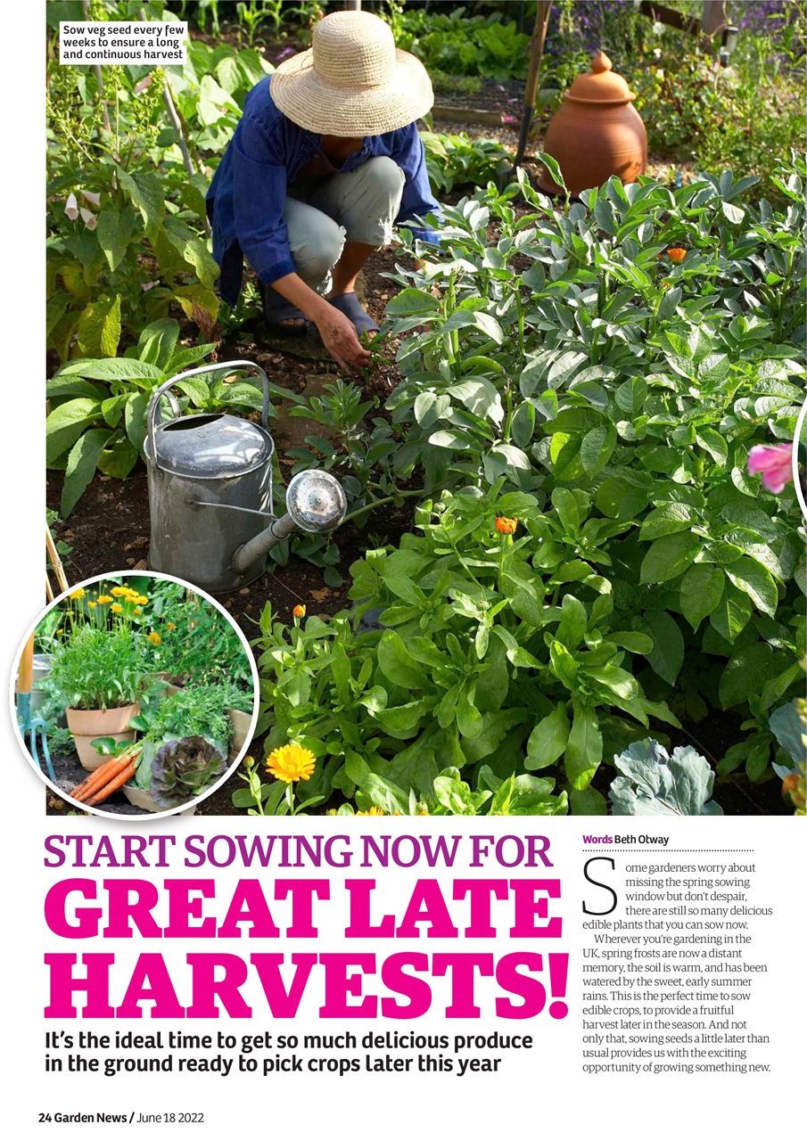 Garden News Preview Pages