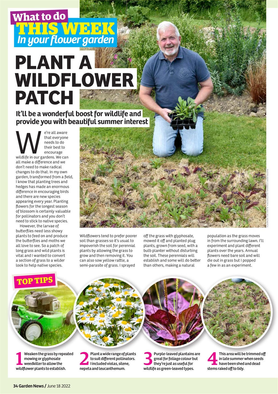 Garden News Preview Pages