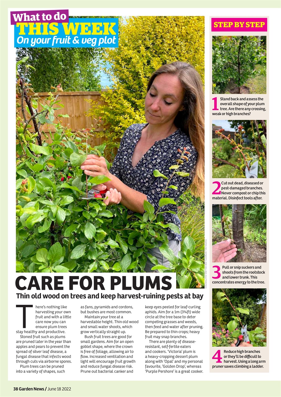 Garden News Preview Pages