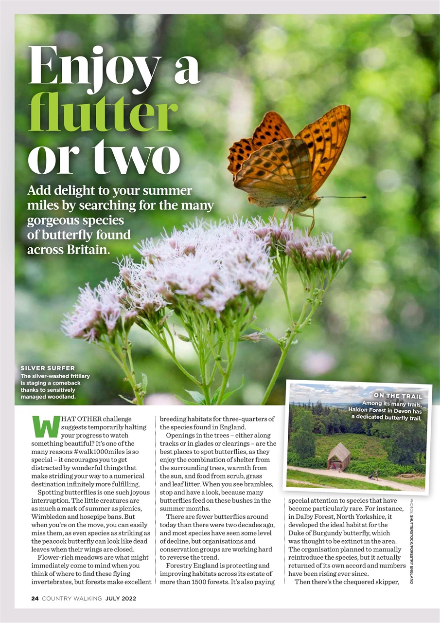 Country Walking Preview Pages