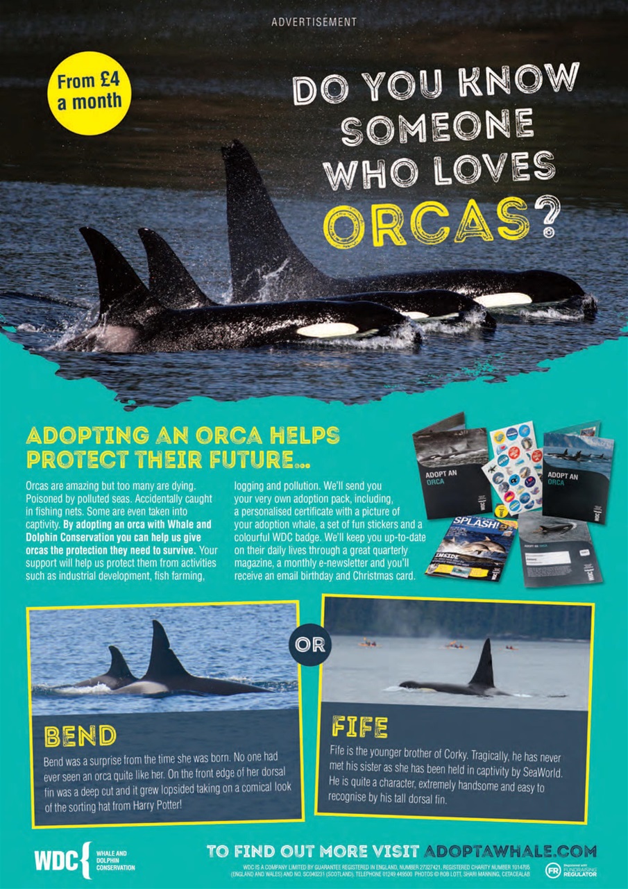 Animal Planet Kids Preview Pages