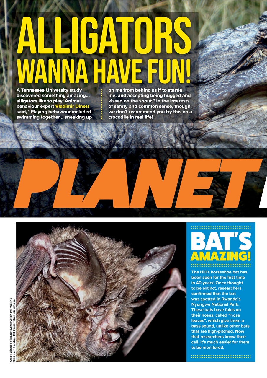 Animal Planet Kids Preview Pages