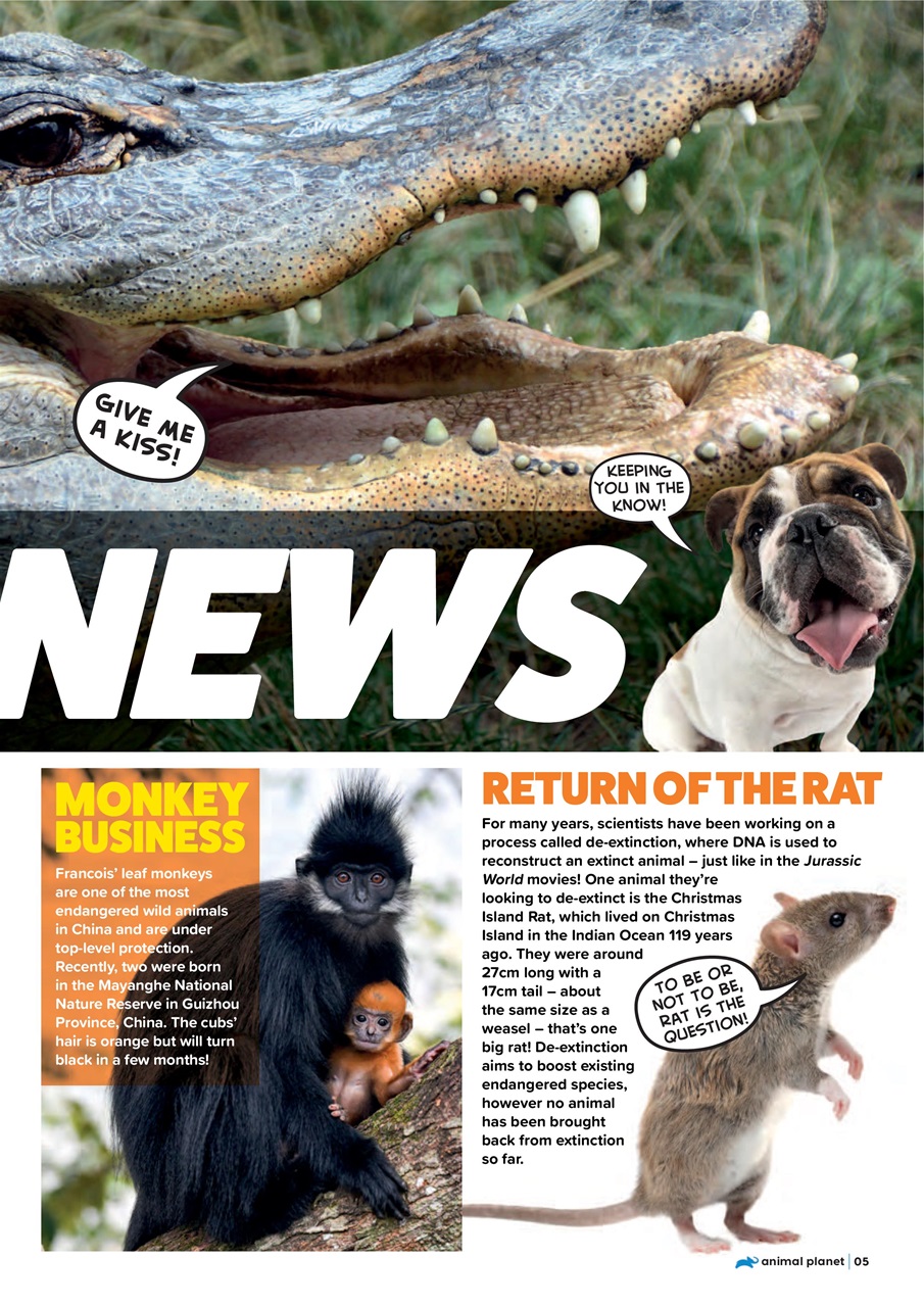 Animal Planet Kids Preview Pages