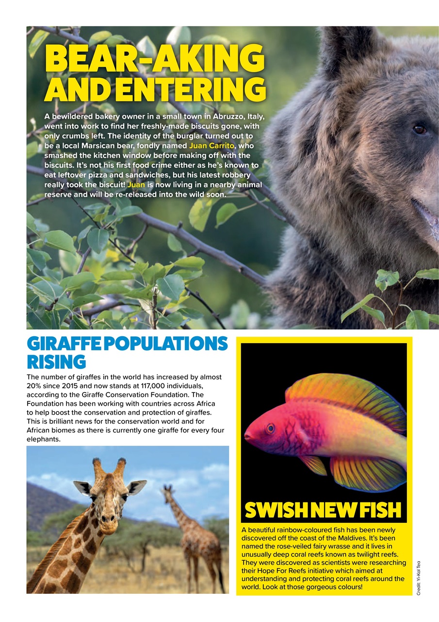 Animal Planet Kids Preview Pages